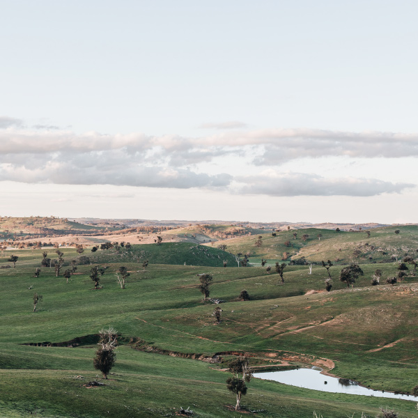 From Biscuits To Beef How Charlie And Angelica Arnott Are Planting The Seeds Of Holistic Farming Brands Of Kin